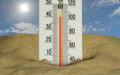 FO Altran: Comm Juin 2026 – Canicule – horizons 2027 – Prime vacances et RTT employeur du 13 juillet